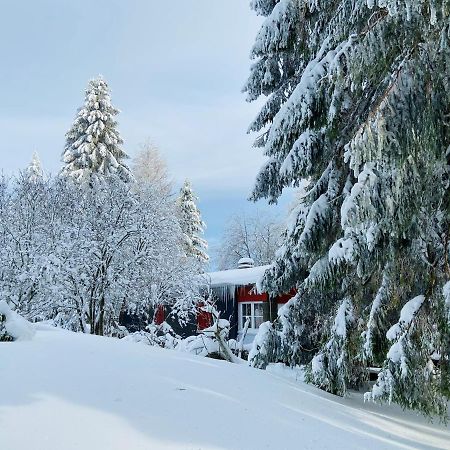 Baude Steinheid am Rennsteig mit 12 Betten Exterior foto