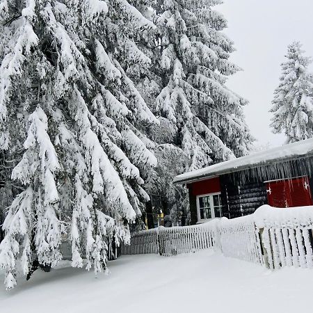 Baude Steinheid am Rennsteig mit 12 Betten Exterior foto