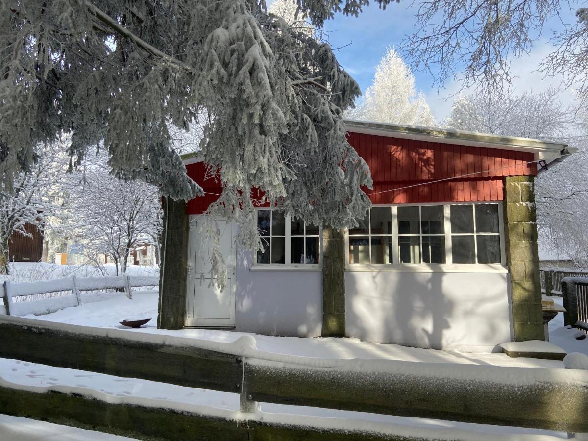 Baude Steinheid am Rennsteig mit 12 Betten Exterior foto